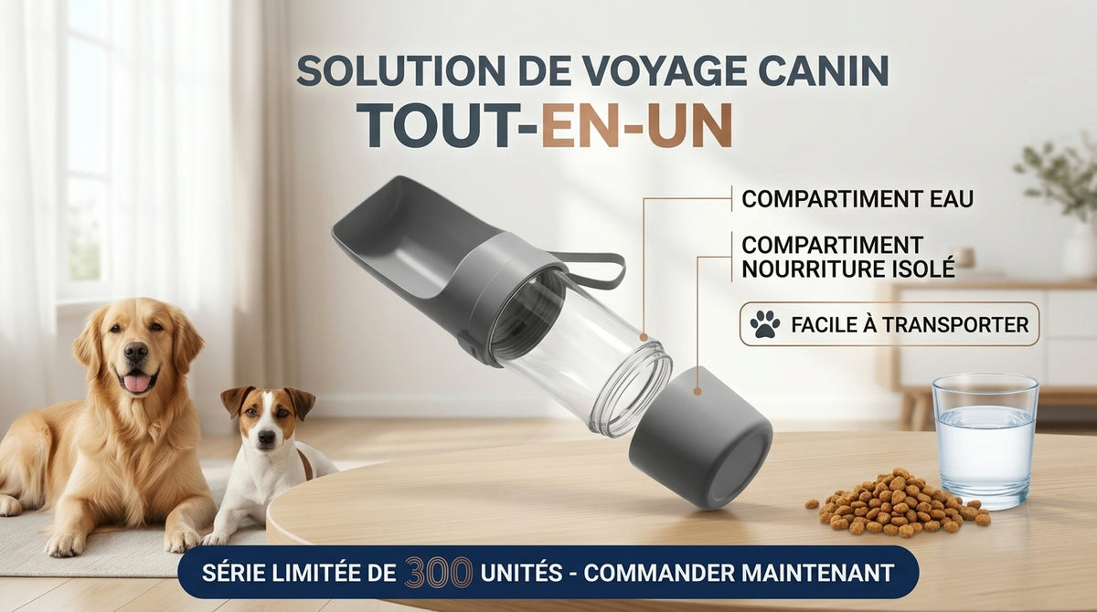 PatteGo – Gourde 2-en-1 pour chien